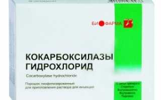 Кокарбоксилаз при беременности