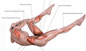 «Велосипед»: какие мышцы работают, техника выполнения