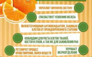 Цитрусовая диета: хороший эффект и польза для здоровья