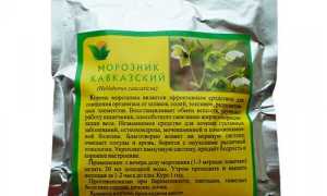 Лучшие травы для похудения и способы их применения