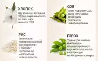 Восемь «здоровых» продуктов, вредных для здоровья