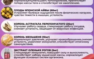 Витамины для набора веса – практическая информация