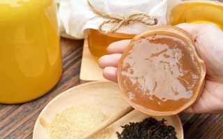 Как делать настой чайного гриба дома – правила приготовления