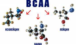 Что такое BCAA: правила приема и выбора добавки