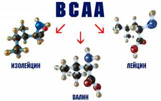 Что такое BCAA: правила приема и выбора добавки
