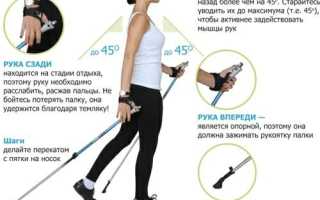 Сколько необходимо проходить шагов в день, чтобы похудеть?