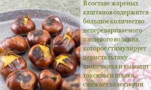 Калорийность каштанов, польза и вред для организма