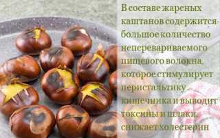 Калорийность каштанов, польза и вред для организма