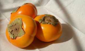 Хурма: польза и вред для организма человека