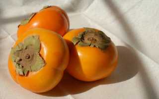 Хурма: польза и вред для организма человека