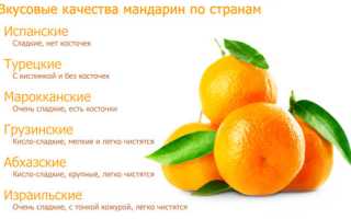 Калорийность мандарина: польза и вред для здоровья