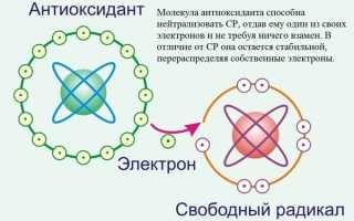 Самые полезные антиоксиданты для кожи: помогут в борьбе со свободными радикалами