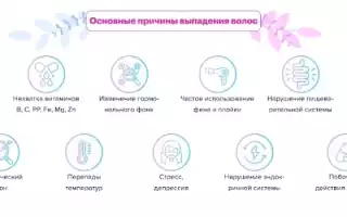 Укрепление волос — позаботьтесь о собственном организме