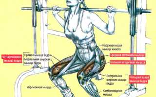 Приседания в Смите: преимущества, техника выполнения