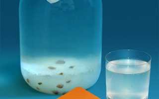 Индийский морской рис: напиток здоровья