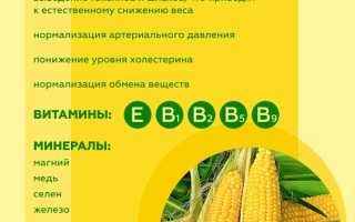 Кукурузные отруби: полезные и вредные качества, калорийность, состав, БЖУ на 100 граммов