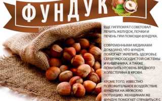 Фундук — калорийность продукта, польза и вред для организма