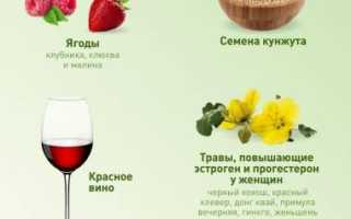 Фитоэстрогены в продуктах – насколько обосновано их употребление
