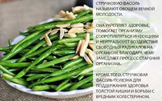 Стручковая фасоль: состав, польза, противопоказания и применение при похудении