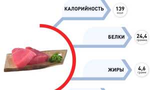 Тунец: польза для организма, калорийность и возможные противопоказания