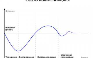За какое время можно накачать попу дома и в тренажерном зале?