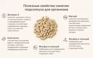 Калорийность семечек подсолнуха, состав и БЖУ в зависимости от вида