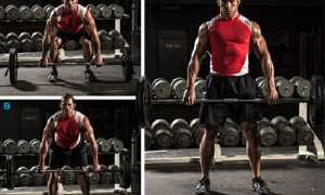 Как правильно заниматься в тренажерном зале без тренера, чтобы похудеть: программы тренировок