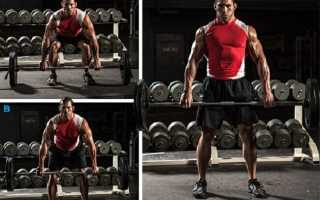 Как правильно заниматься в тренажерном зале без тренера, чтобы похудеть: программы тренировок