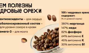 Кедровые орехи: ценность продукта, польза и вред для организма