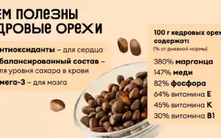 Кедровые орехи: ценность продукта, польза и вред для организма