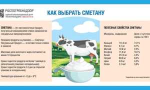 Сметана: состав продукта, польза и вред для организма