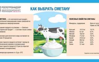 Сметана: состав продукта, польза и вред для организма
