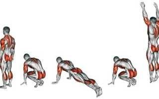 Берпи: описание упражнения, техника выполнения для мужчин и женщин