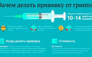Прививки от гриппа — стоит ли их делать?