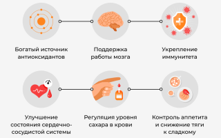 Какао: польза для здоровья, использование в диетическом питании