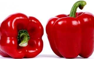 Болгарский перец — польза и вред, калорийность, БЖУ и рецепты блюд