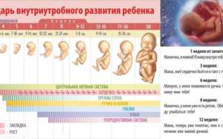 Аборт на поздних сроках – показания и проблемы