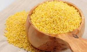 Пшенная каша: польза и вред, калорийность, употребление в диетах