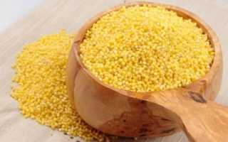 Пшенная каша: польза и вред, калорийность, употребление в диетах