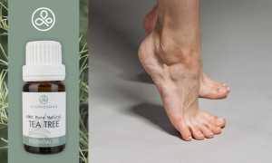 Масло чайного дерева от грибка ногтей: полезные свойства и лучшие способы применения