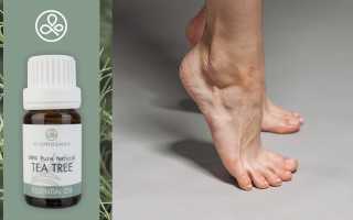 Масло чайного дерева от грибка ногтей: полезные свойства и лучшие способы применения