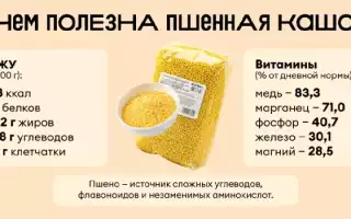 Пшеничная каша: полезные свойства и противопоказания