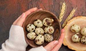 Перепелиные яйца: калорийность, польза и вред продукта, употребление при диетическом питании