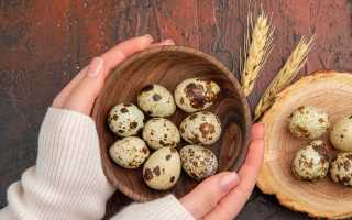 Перепелиные яйца: калорийность, польза и вред продукта, употребление при диетическом питании