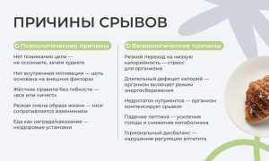 Что такое читмил и как правильно его устраивать?