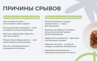 Что такое читмил и как правильно его устраивать?