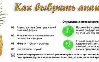 Ананасовая диета – правда и вымысел о мифическом жиросжигателе