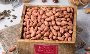 Польза арахиса для здоровья, использование в похудении