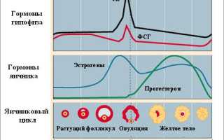 Гормональный фон во время беременности — когда нужно начинать беспокоиться?