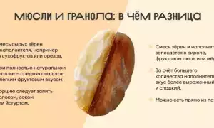 Мюсли: калорийность, польза и вред для организма